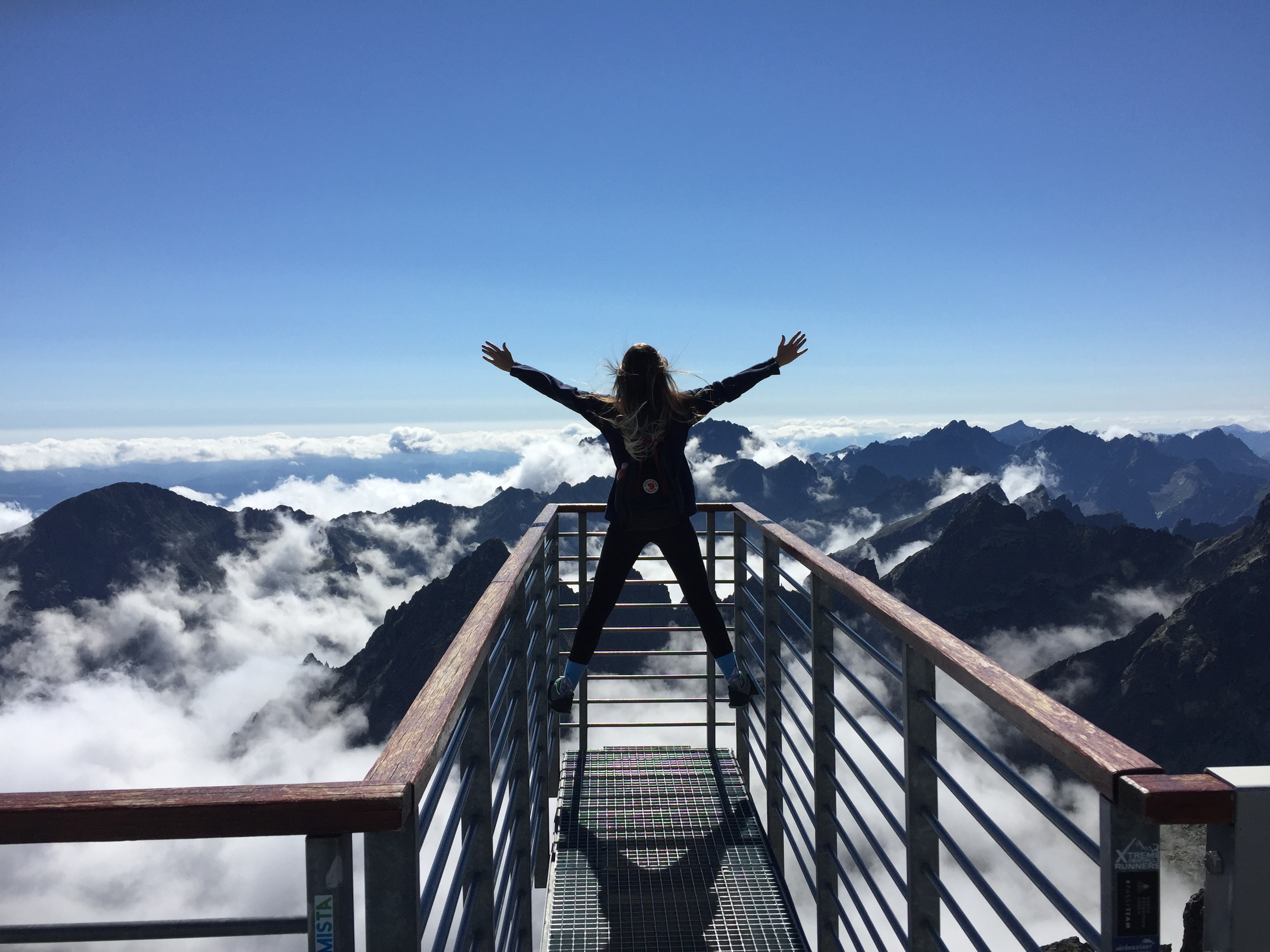 person standing on hand rails with arms wide open facing the 725255