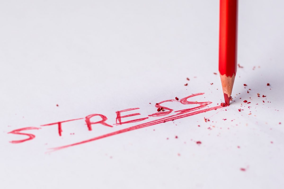 Stresin İnsan Vücuduna Zararları ve Olumsuz Etkileri Nelerdir?